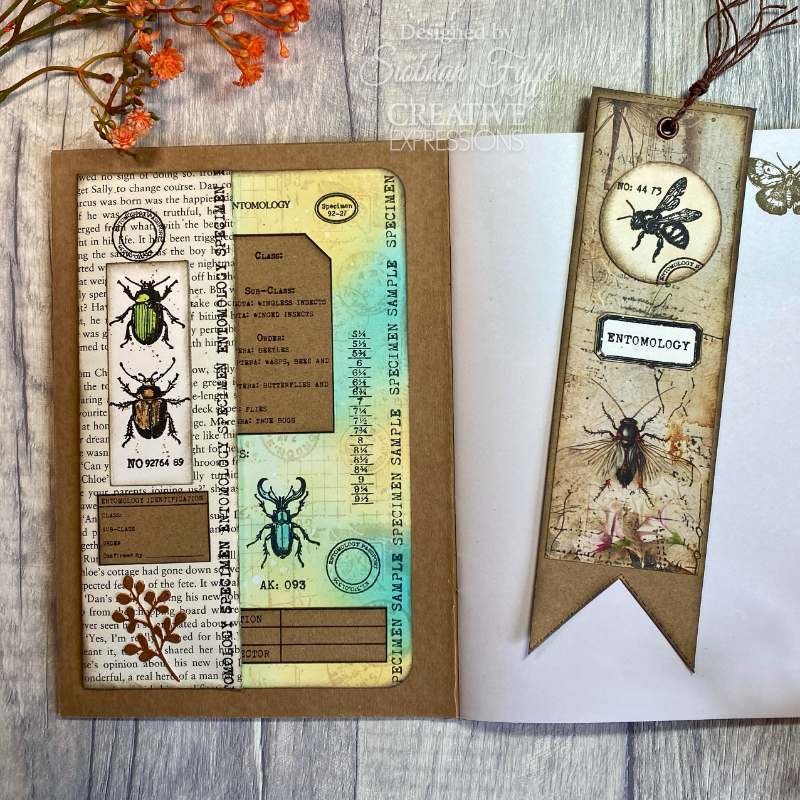 Creative Expressions Tracie Fox Entomology Passport Elements 6 in x 8 in Clear Stamp Set