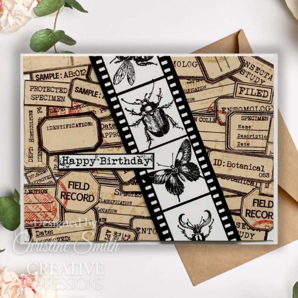 Creative Expressions Tracie Fox Entomology Passport Elements 6 in x 8 in Clear Stamp Set