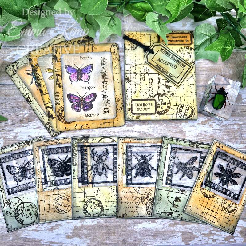 Creative Expressions Tracie Fox Bugology Negatives 6 in x 8 in Clear Stamp Set