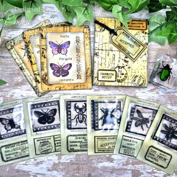 Creative Expressions Tracie Fox Entomology Passport Elements 6 in x 8 in Clear Stamp Set