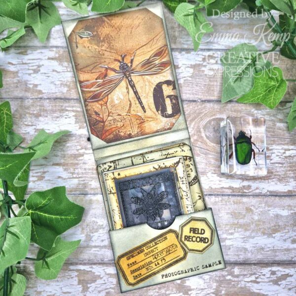 Creative Expressions Tracie Fox Entomology Passport Elements 6 in x 8 in Clear Stamp Set