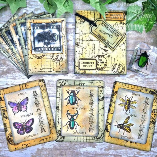 Creative Expressions Tracie Fox Entomology Passport Elements 6 in x 8 in Clear Stamp Set