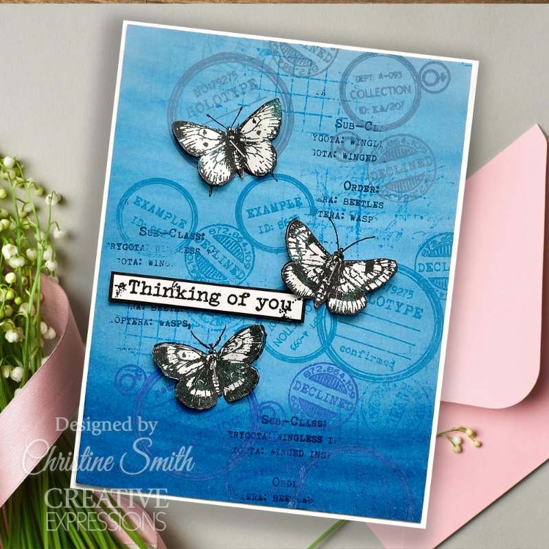 Creative Expressions Tracie Fox Bugology Negatives 6 in x 8 in Clear Stamp Set