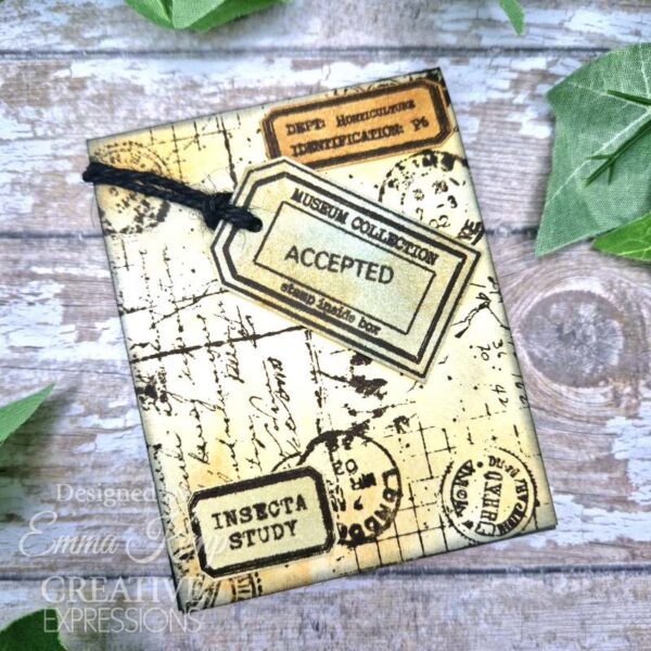 Creative Expressions Tracie Fox Entomology Passport Elements 6 in x 8 in Clear Stamp Set