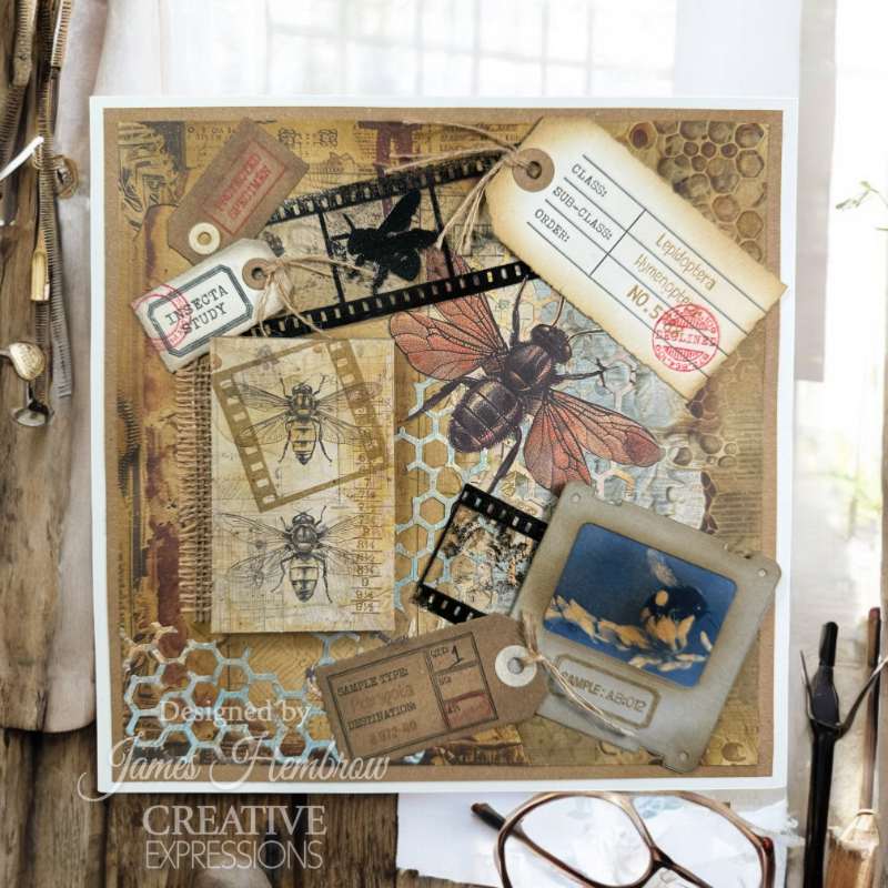 Creative Expressions Tracie Fox Bugology Negatives 6 in x 8 in Clear Stamp Set