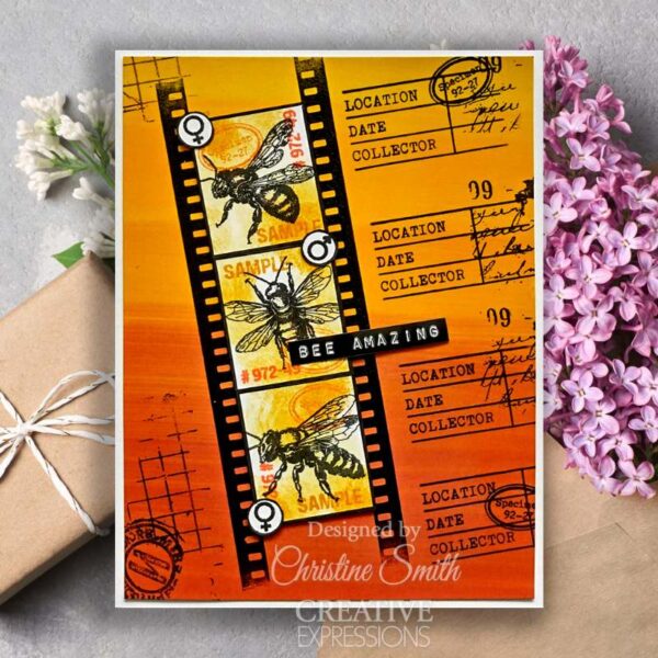 Creative Expressions Tracie Fox Entomology Passport Elements 6 in x 8 in Clear Stamp Set