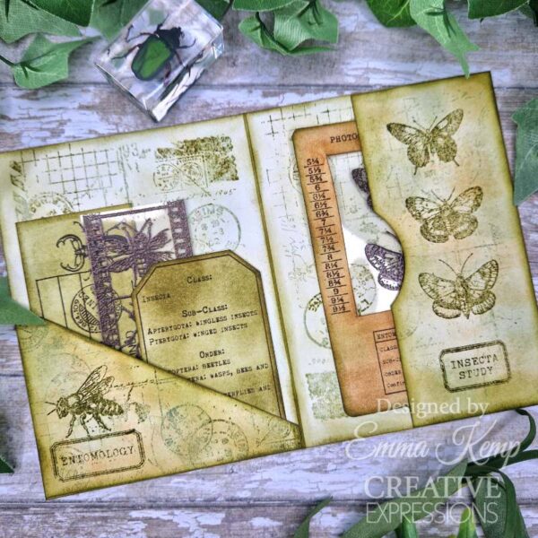 Creative Expressions Tracie Fox Entomology Passport Elements 6 in x 8 in Clear Stamp Set