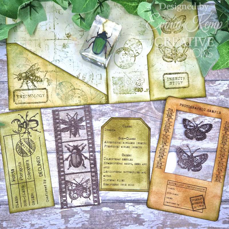 Creative Expressions Tracie Fox Bugology Negatives 6 in x 8 in Clear Stamp Set