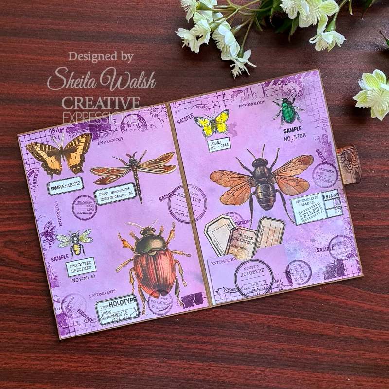 Creative Expressions Tracie Fox Nature Fill Ins 6 in x 8 in Clear Stamp Set