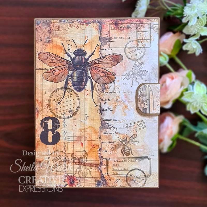 Creative Expressions Tracie Fox Nature Fill Ins 6 in x 8 in Clear Stamp Set