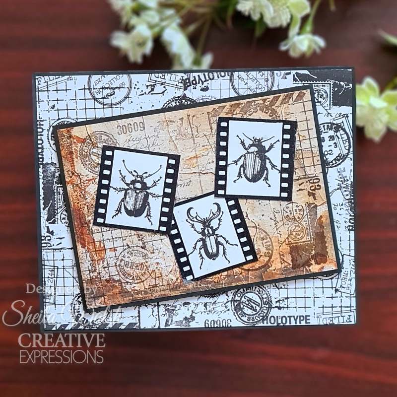 Creative Expressions Tracie Fox Bugology Negatives 6 in x 8 in Clear Stamp Set