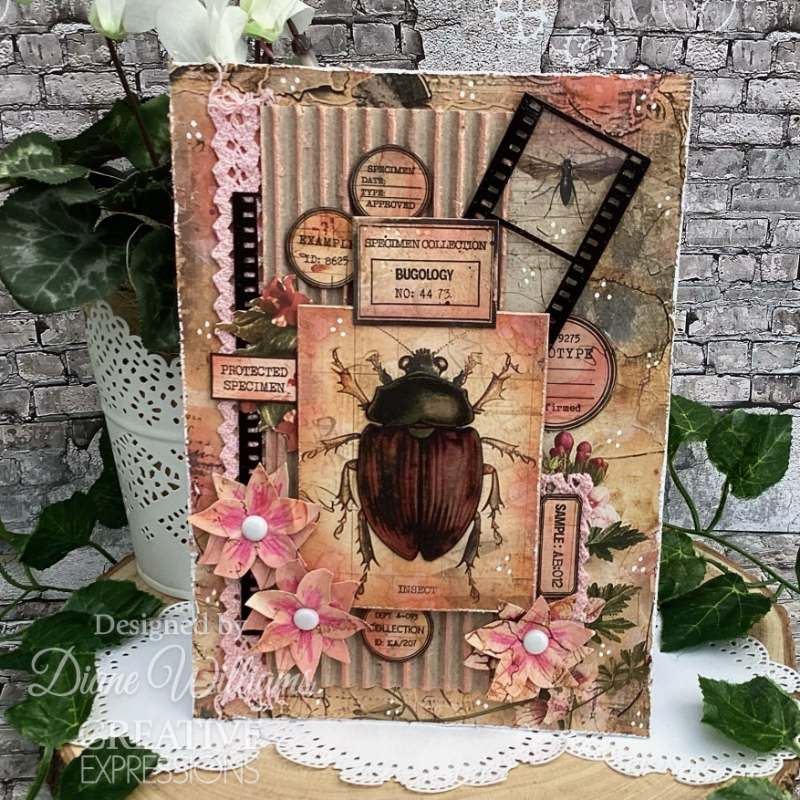 Creative Expressions Tracie Fox Bugology Negatives 6 in x 8 in Clear Stamp Set