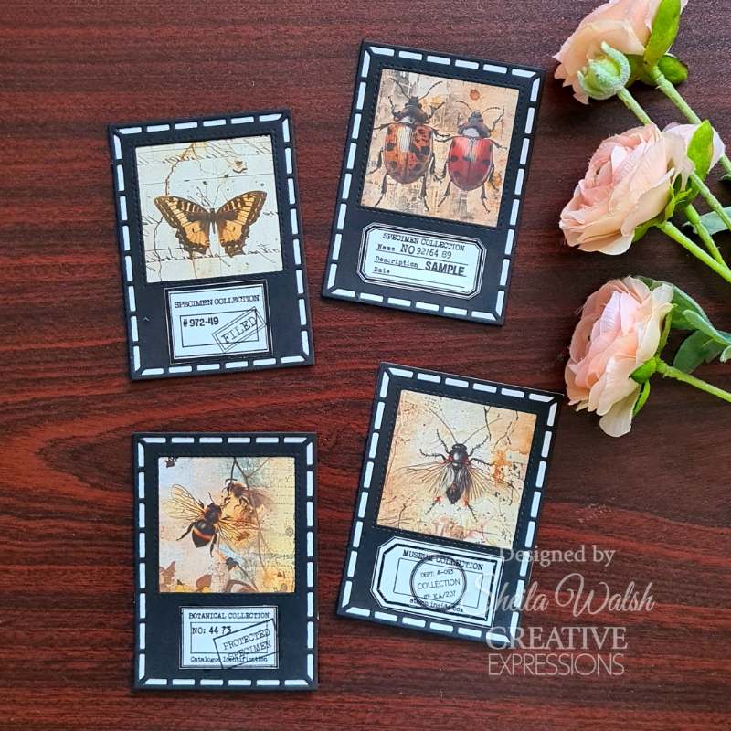 Creative Expressions Tracie Fox Nature Fill Ins 6 in x 8 in Clear Stamp Set