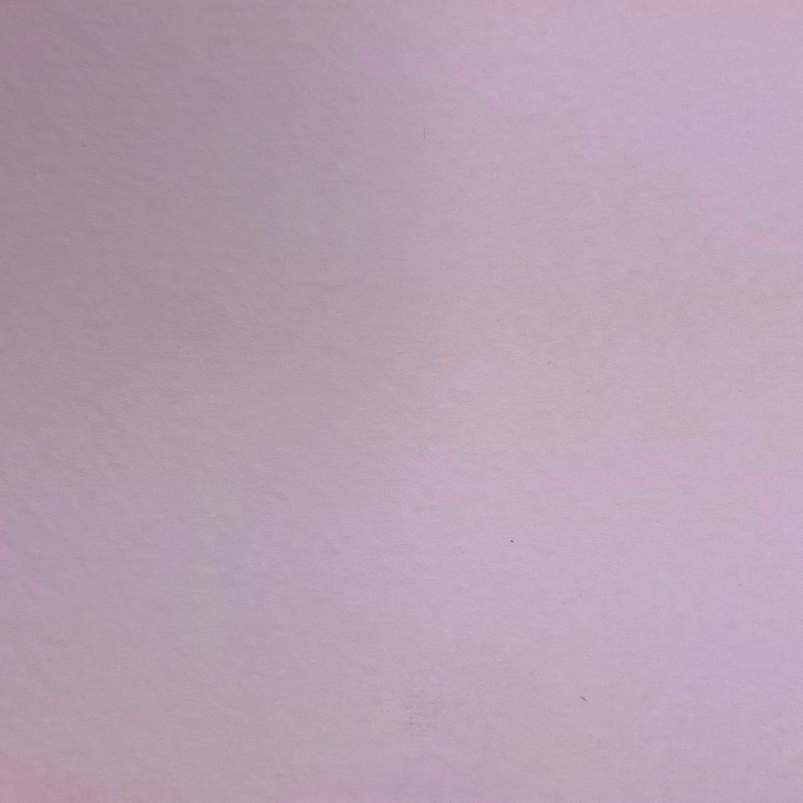 #colour_Violette Femme