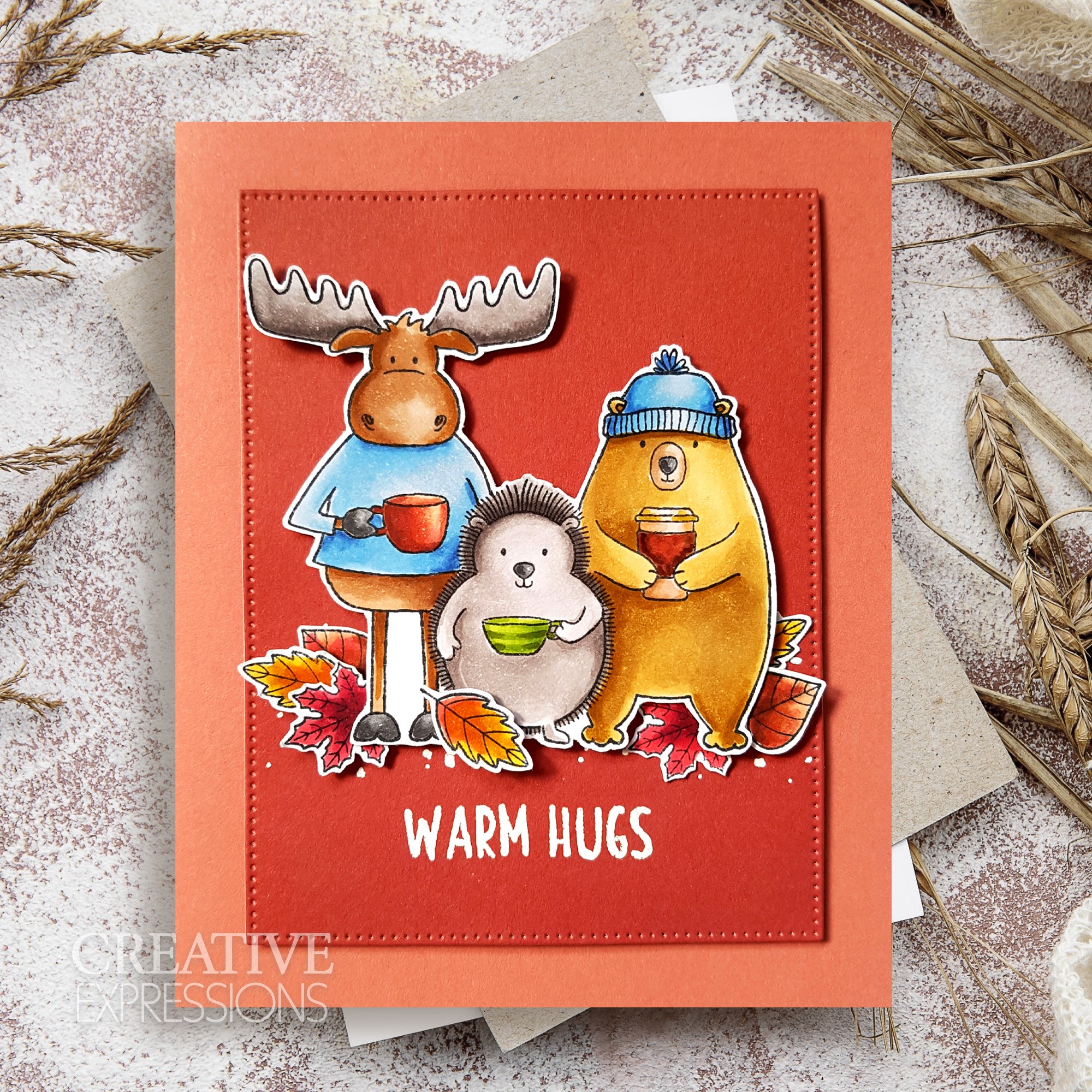 Creative Expressions Jane's Doodles Warm Hugs 6 in x 8 in Clear Stamp Set