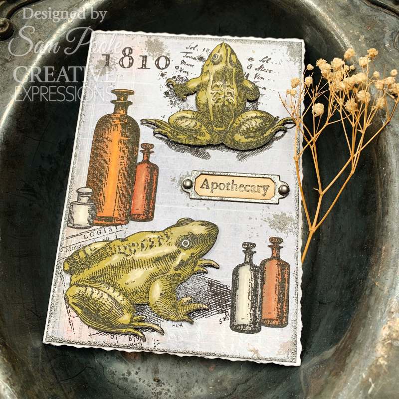 Creative Expressions Sam Poole Witches Brew 6 in x 8 in Clear Stamp Set