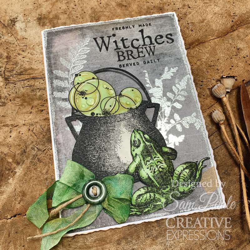 Creative Expressions Sam Poole Witches Brew 6 in x 8 in Clear Stamp Set