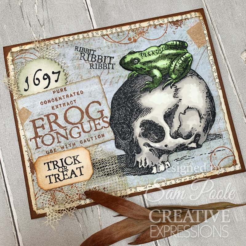 Creative Expressions Sam Poole Halloween Frogs 6 in x 8 in Clear Stamp Set