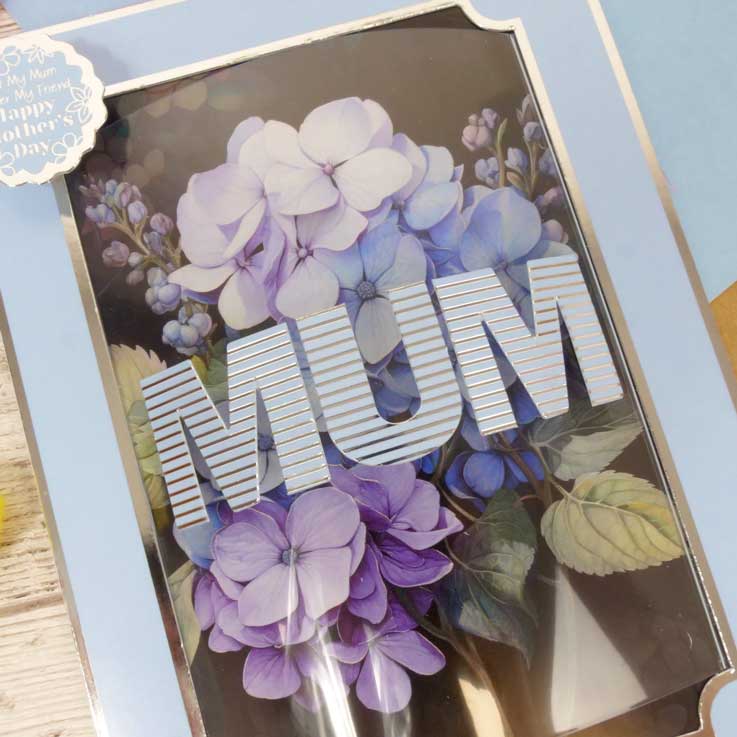 Essential Book of Alphabet