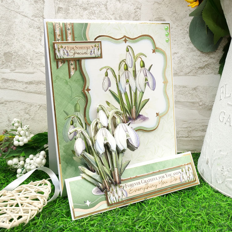 In Full Bloom - Floral Delights Deco-Large Set - Stunning Snowdrops