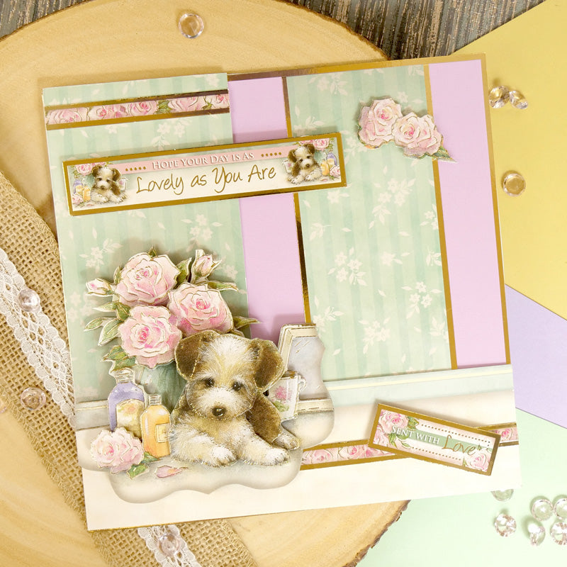 Hello Spring Deco-Large Set - Paws For Thought