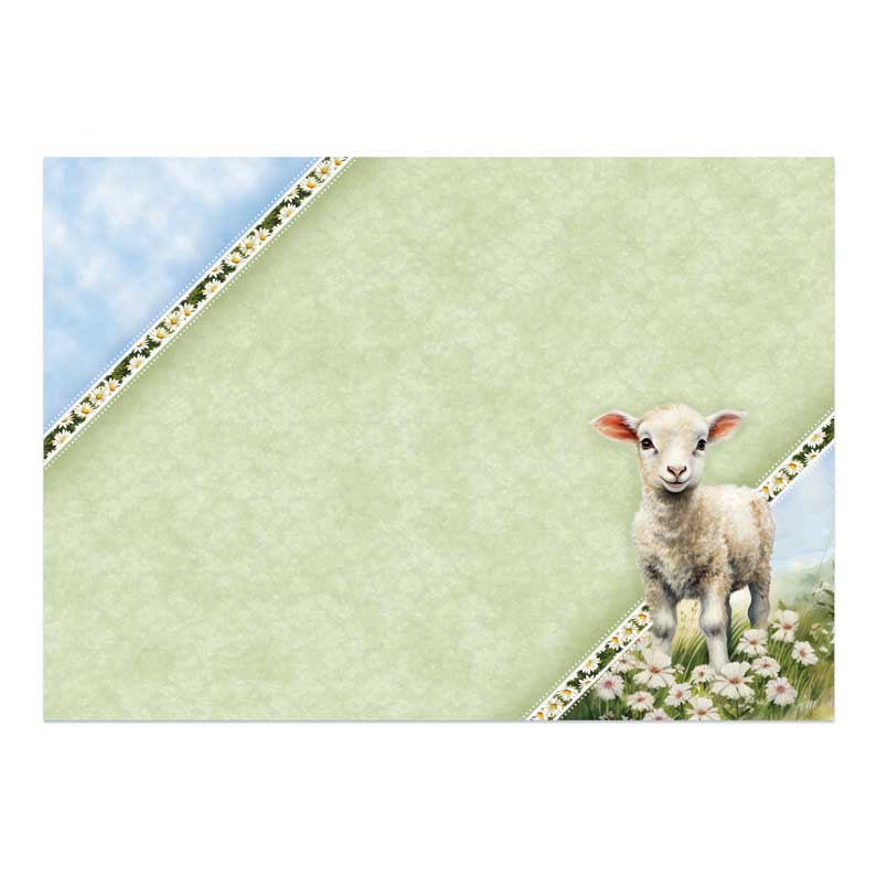 Spring is Here Deco-Large Set - A Boo-rilliant Birthday