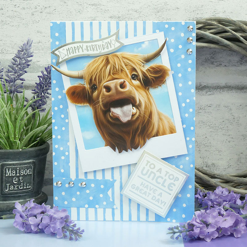 The Little Book of Highland Cows