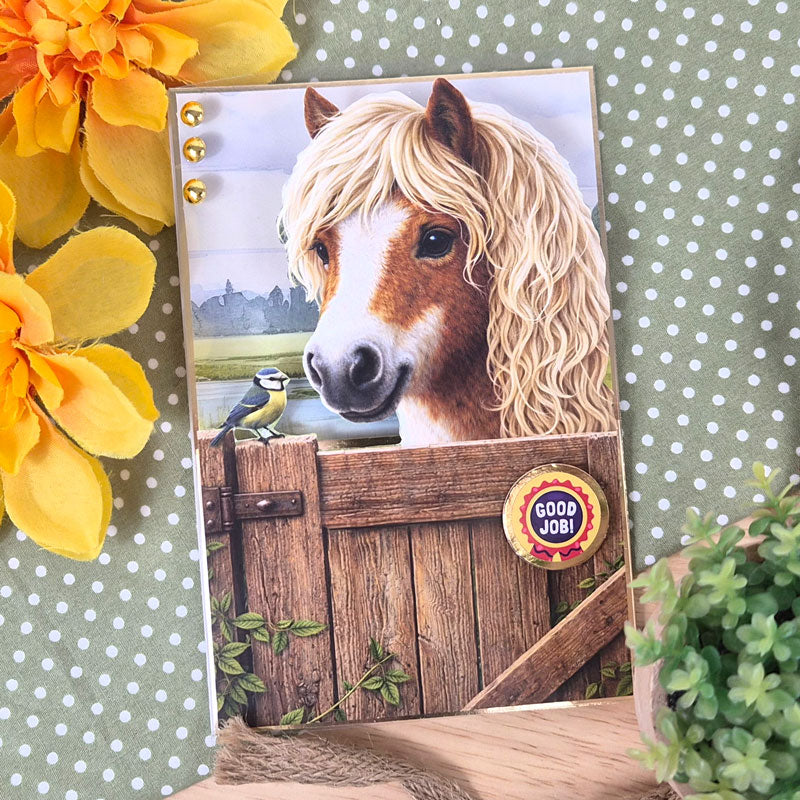 The Little Book of Horses