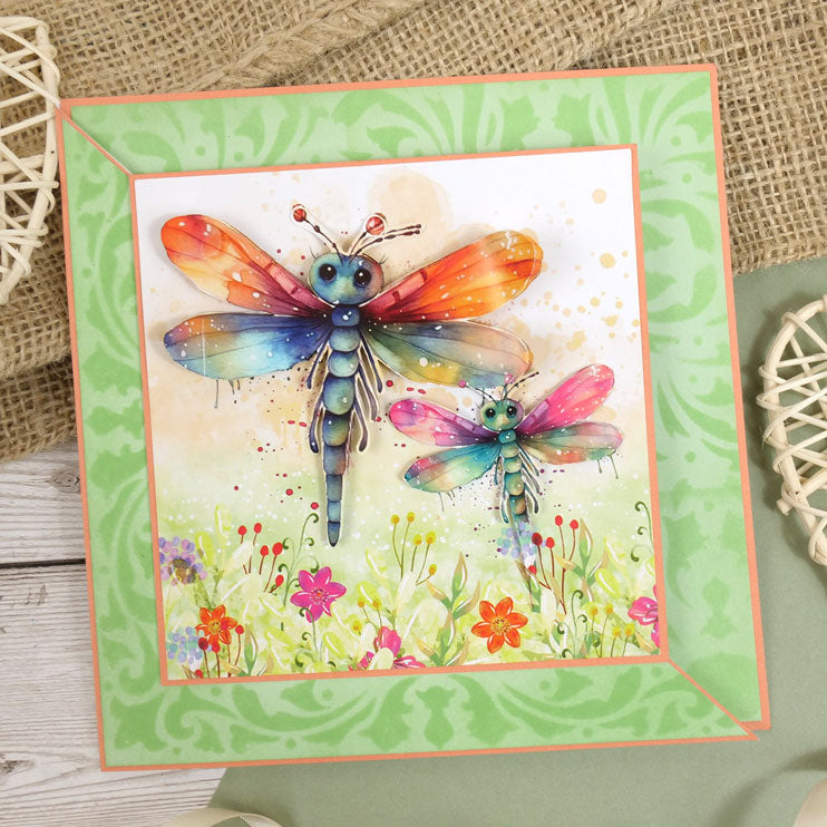 The Square Little Book Of Dragonflies