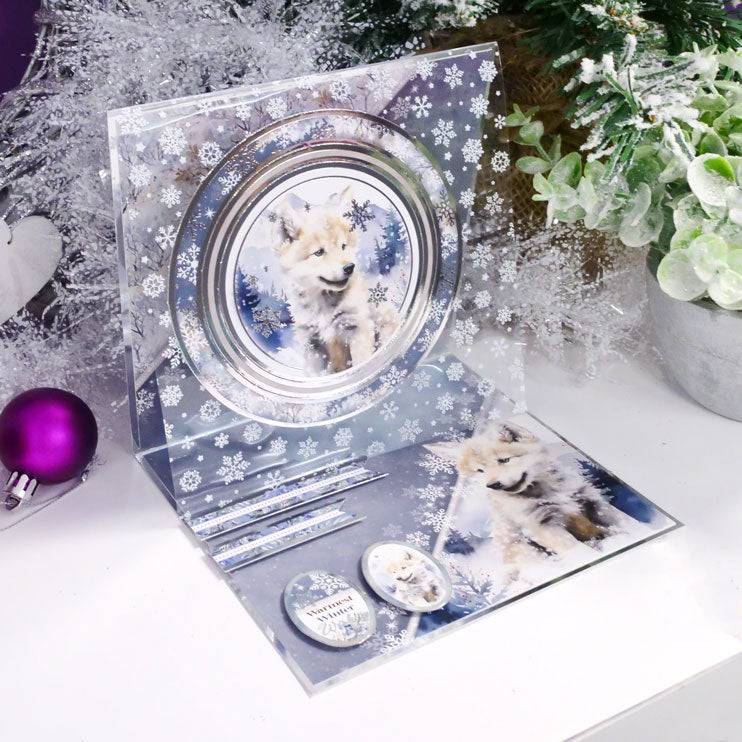 Snow Adorable Luxury Foiled Acetate