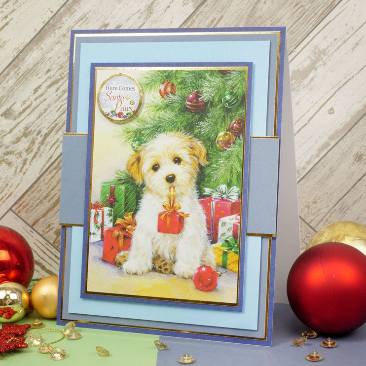 Santa Paws Adorable Scorable Matt-tastic Selection