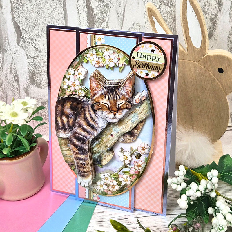 Spring Cheer Mirri Selection