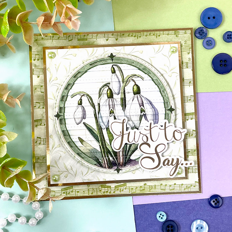 Moonstone Dies - Circle Striped Panel