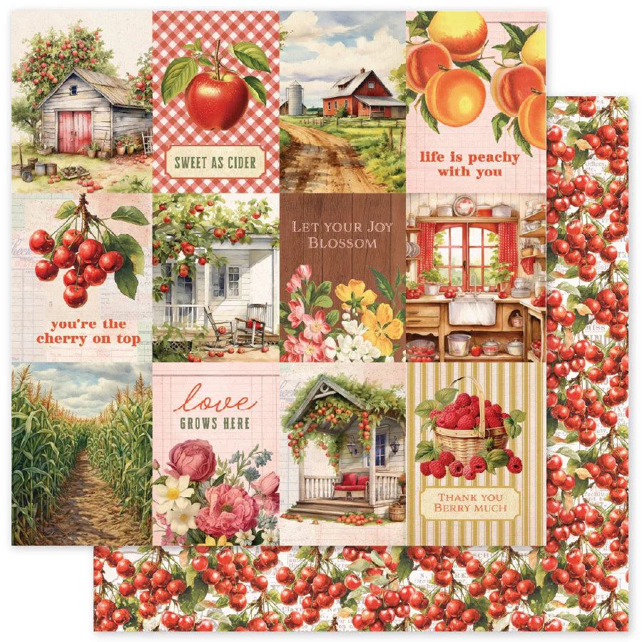 Meadowbrook Farm A 12 x 12 Paper (12 pc Bulk Pack) 35022