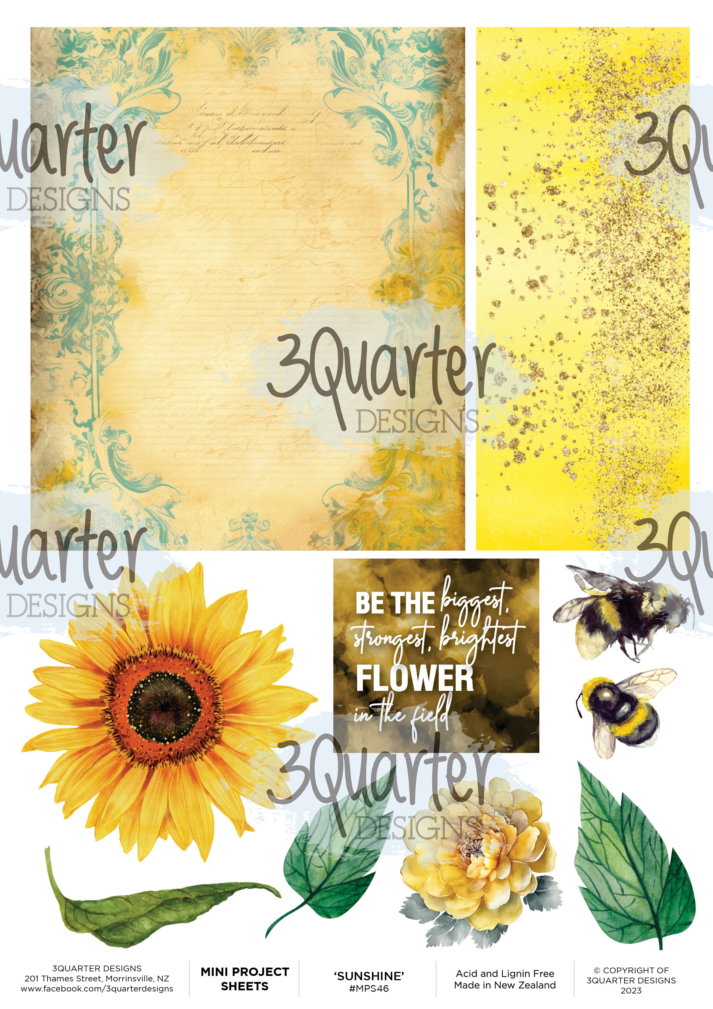 Sunflower - Mini Project Sheet