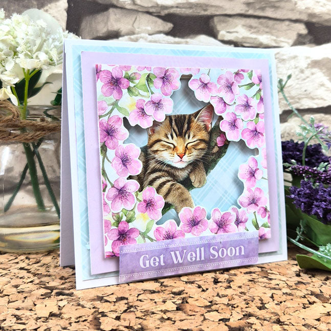 Feline Fabulous Pocket Pad