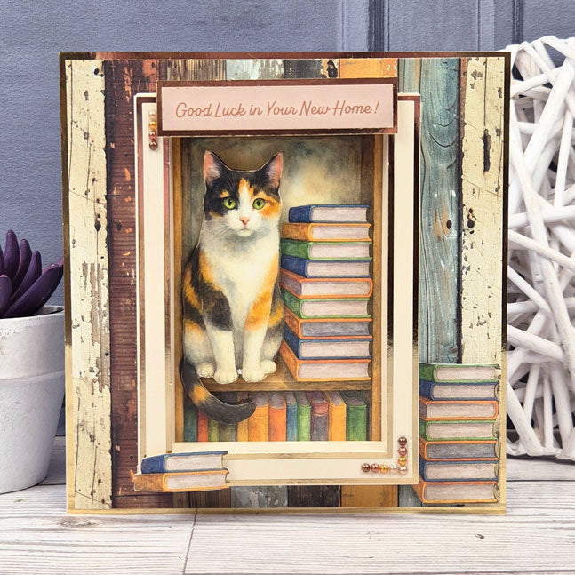 Splendid Sentiments for Pocket Pads