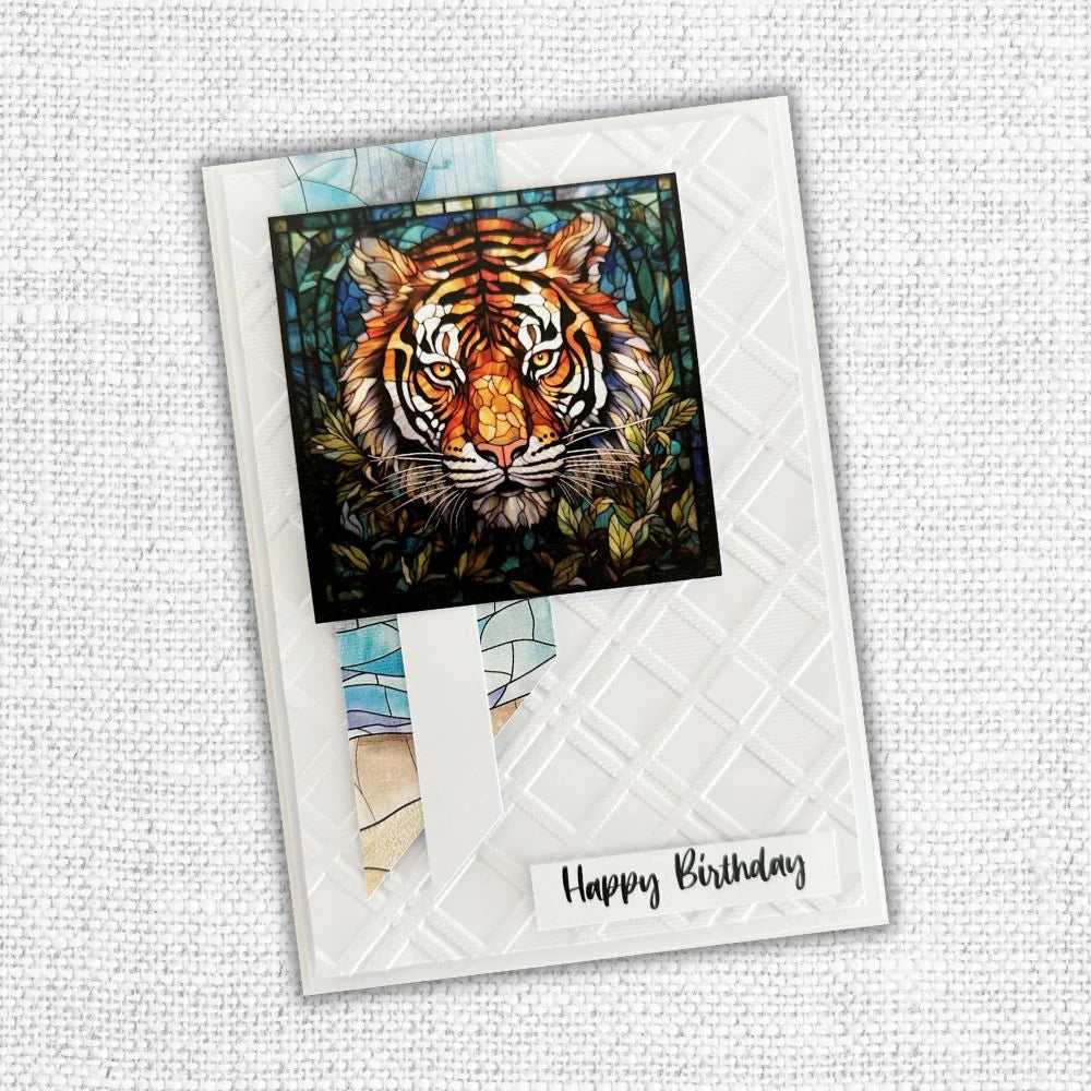 Animal Kingdom 6x6 Paper Collection 32100