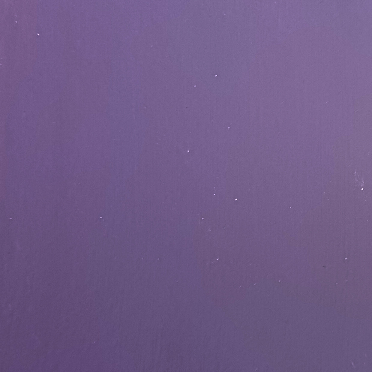 #colour_Black Agapanthus