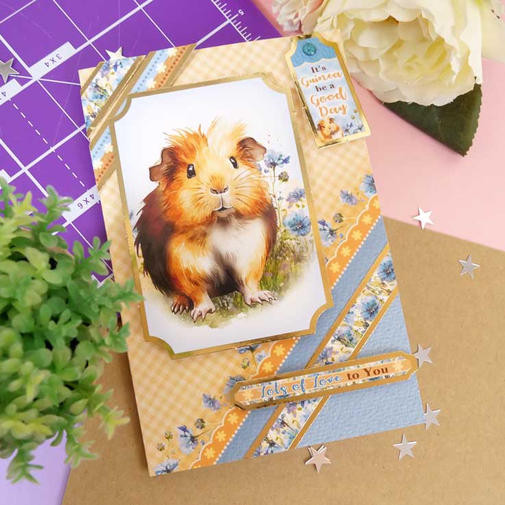 Quick Cards - Perfect Pets