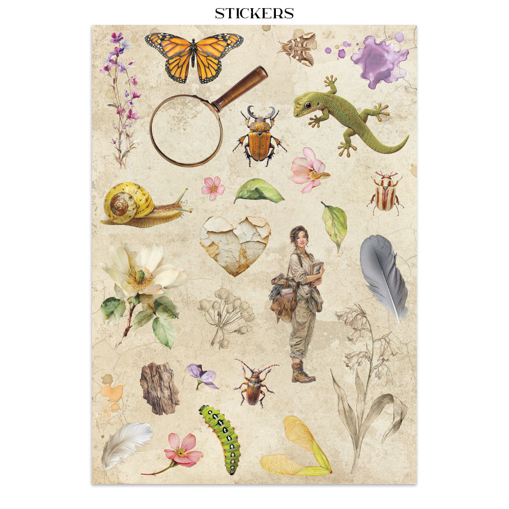 Printed Art Junk Journal: Stickers, Cut-Outs, Backgrounds For Art And Craft - All Around