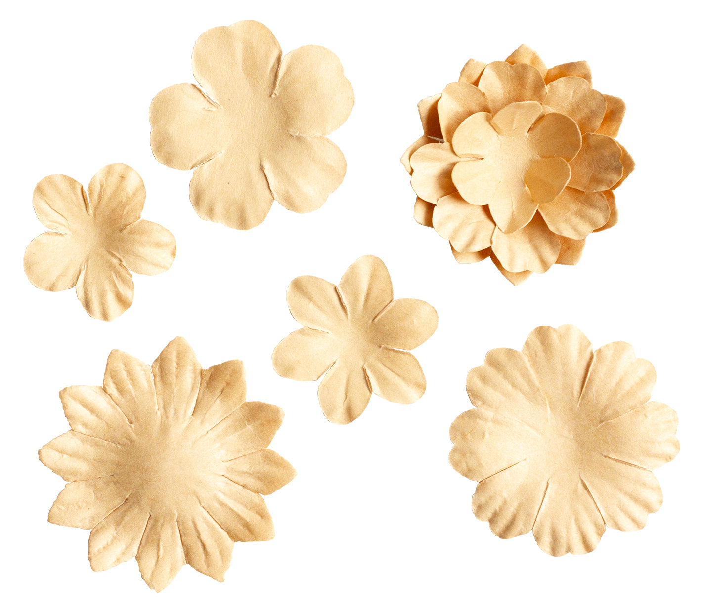 SL Paper Flowers 25x Kraft Consumables 25 PC