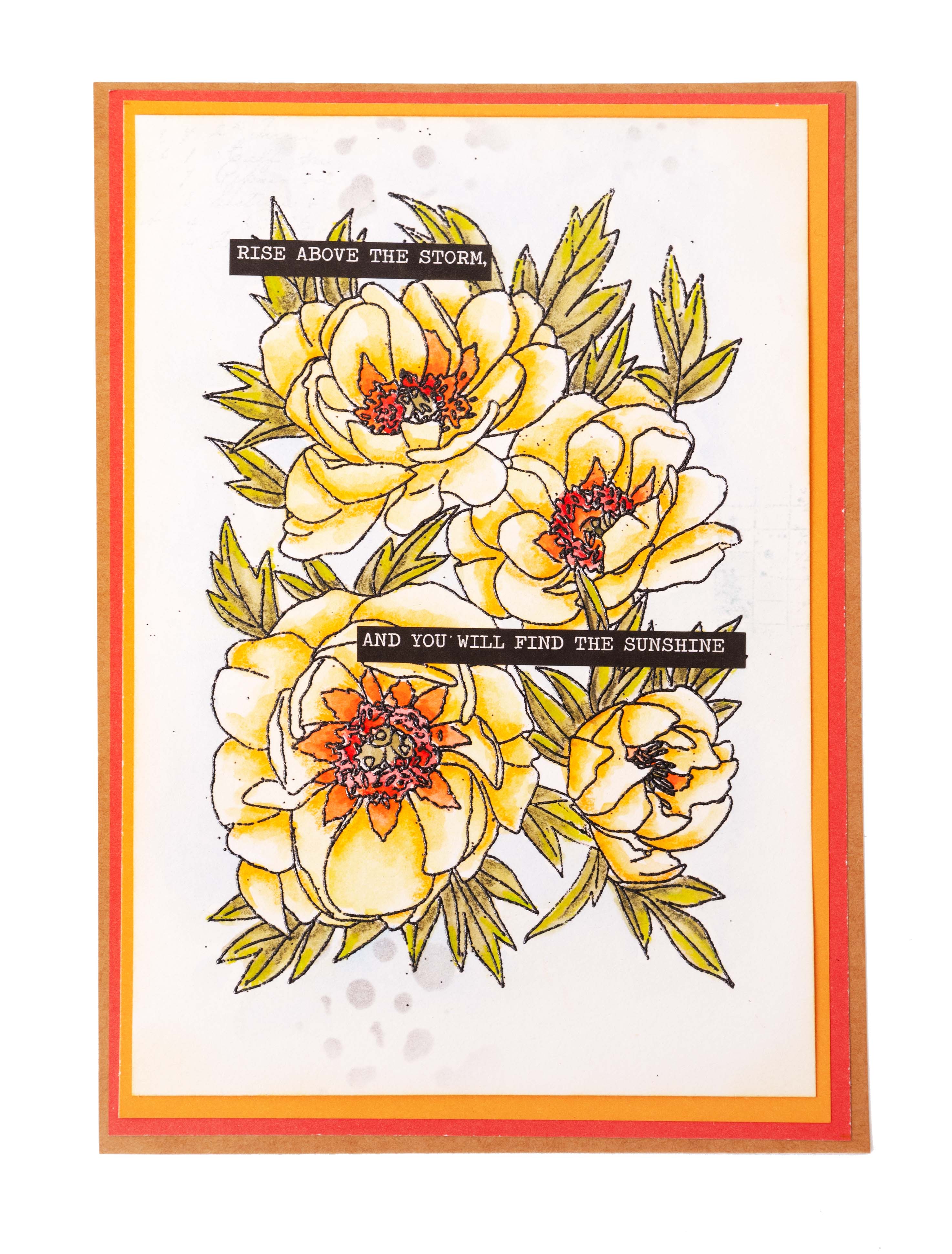 SL Clear Stamp Peonies Essentials 93x136x3mm 1 PC nr.541