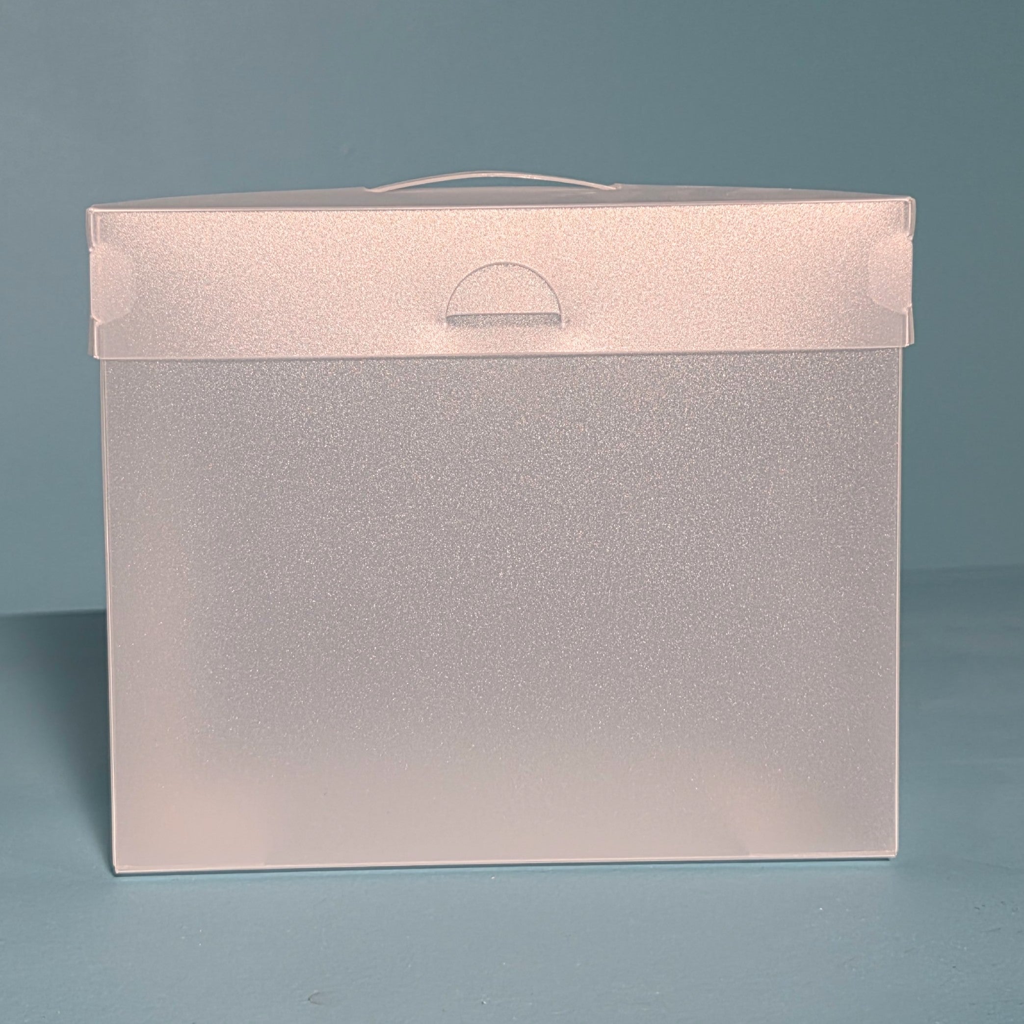The Organized Option 5x7 File Master Storage Box with 5 Pockets