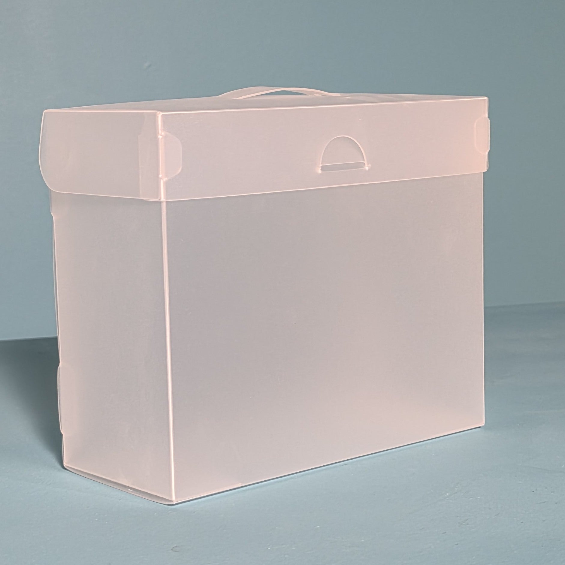 The Organized Option 5x7 File Master Storage Box with 5 Pockets