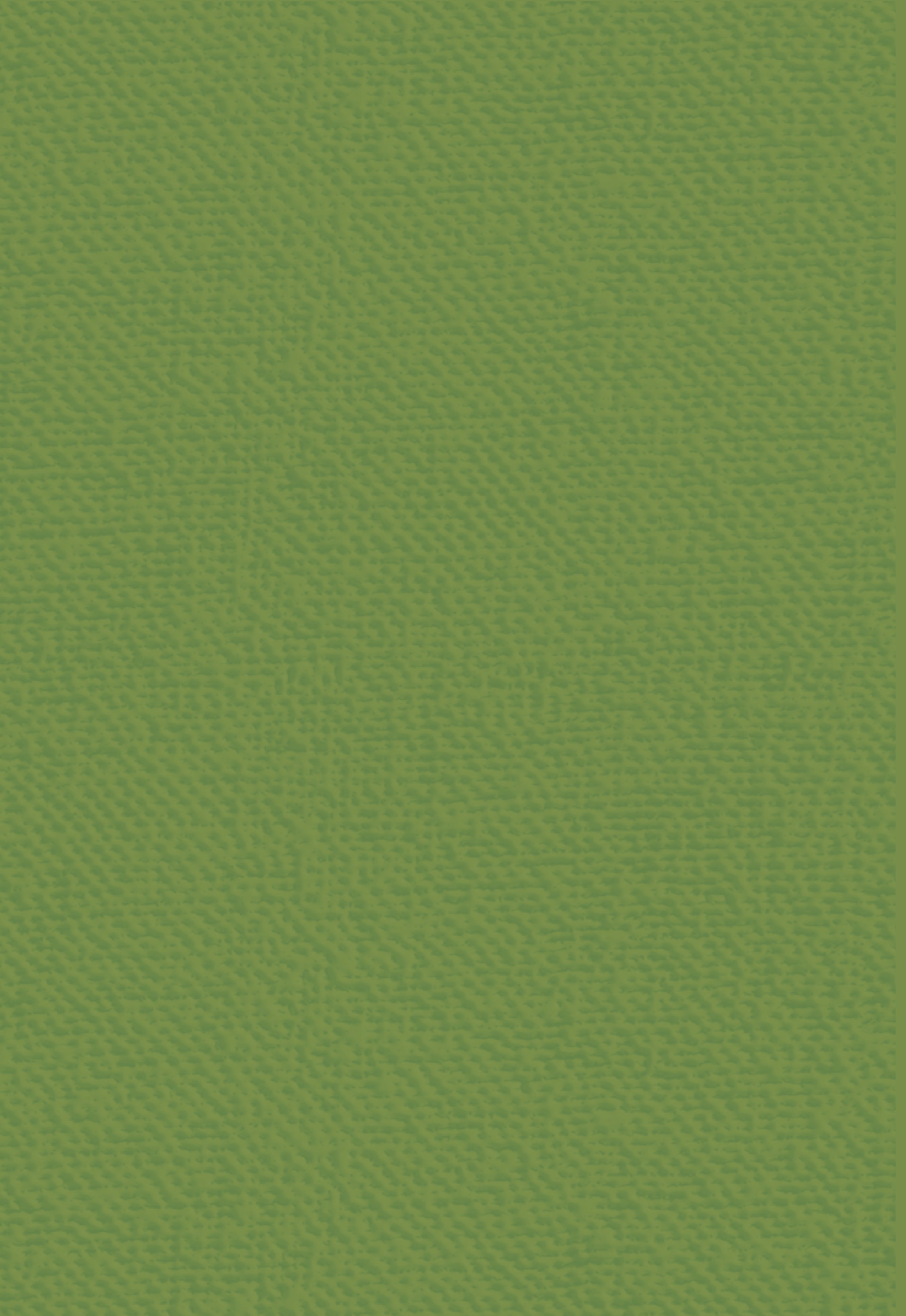 Christmas by Candlelight - Luxury Linen Cardstock - A4