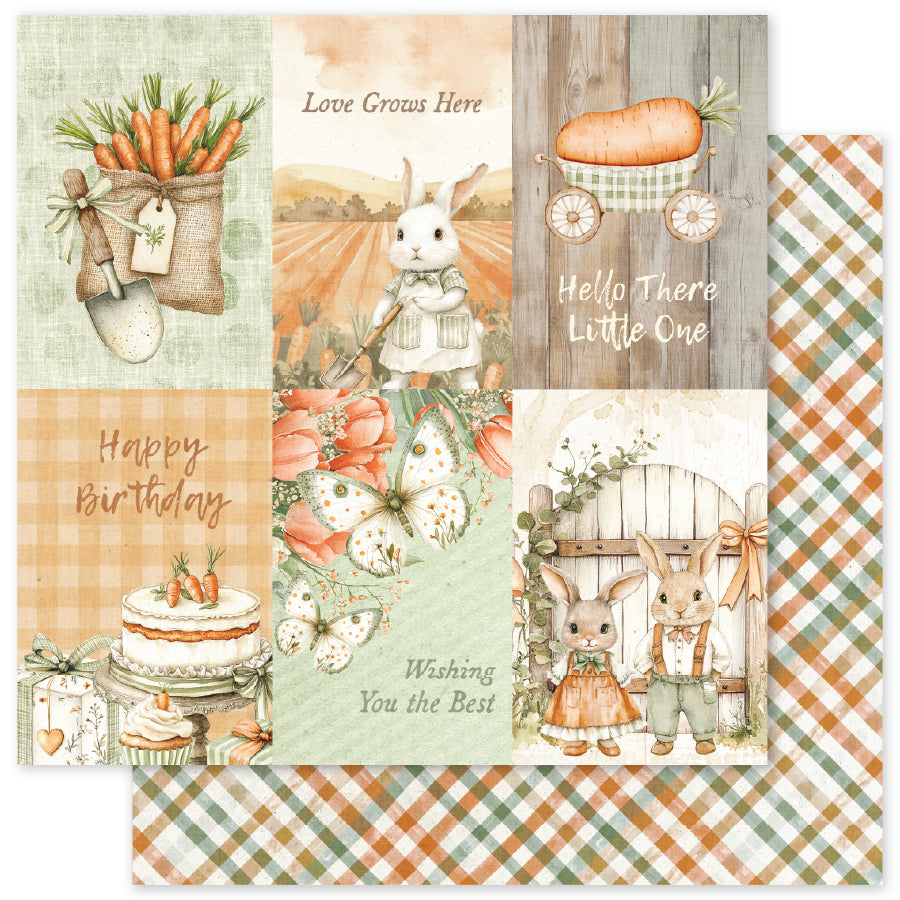 The Carrot Patch C 12x12 Paper (12 pc Bulk Pack) 36262