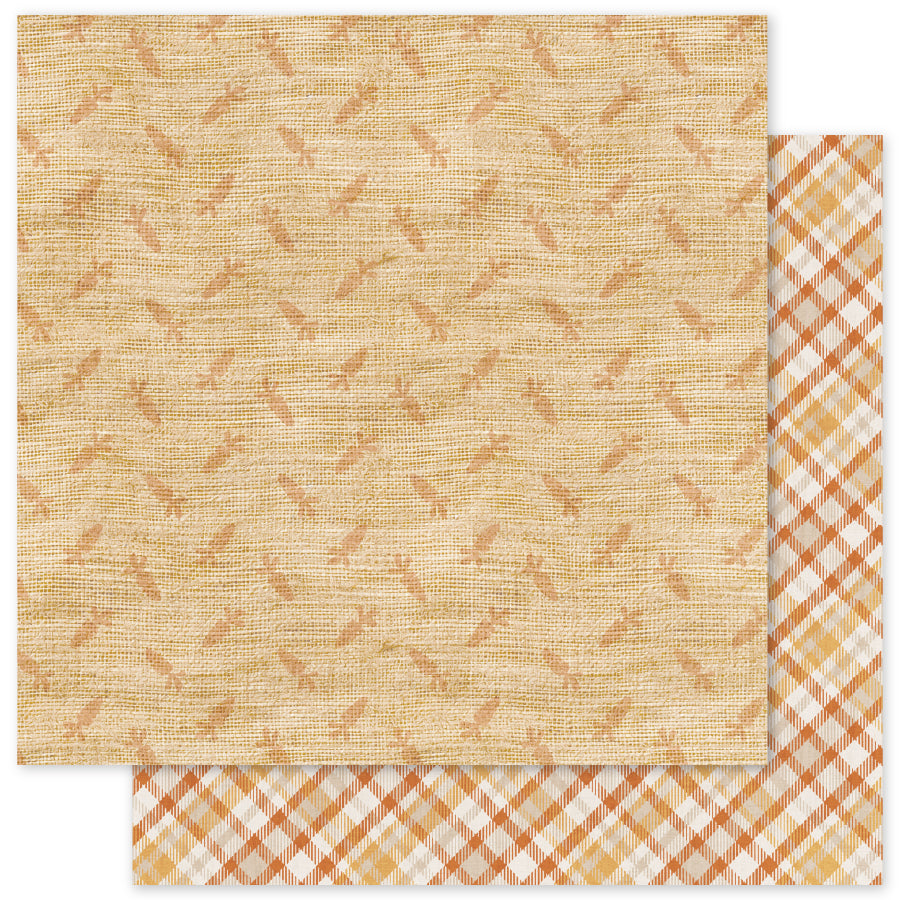 The Carrot Patch Patterns 12x12 Paper Collection 36442