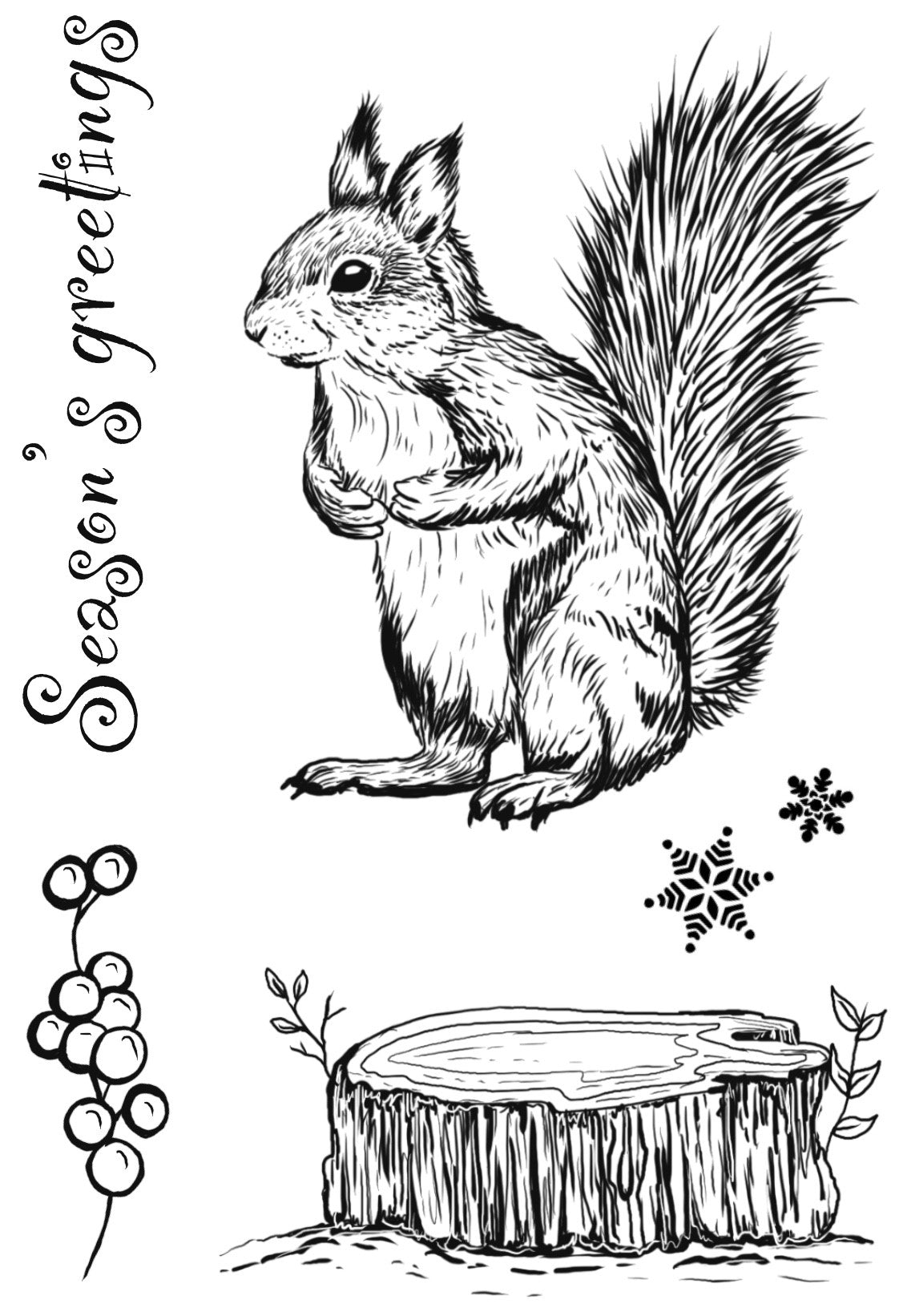 Creative Expressions Designer Boutique Squirrel Greetings 4 in x 6 in Stamp Set