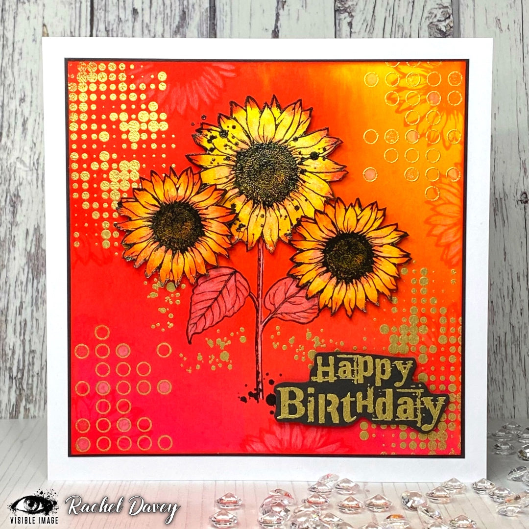 Visible Image Birthday Wishes - A6 Stamp Set